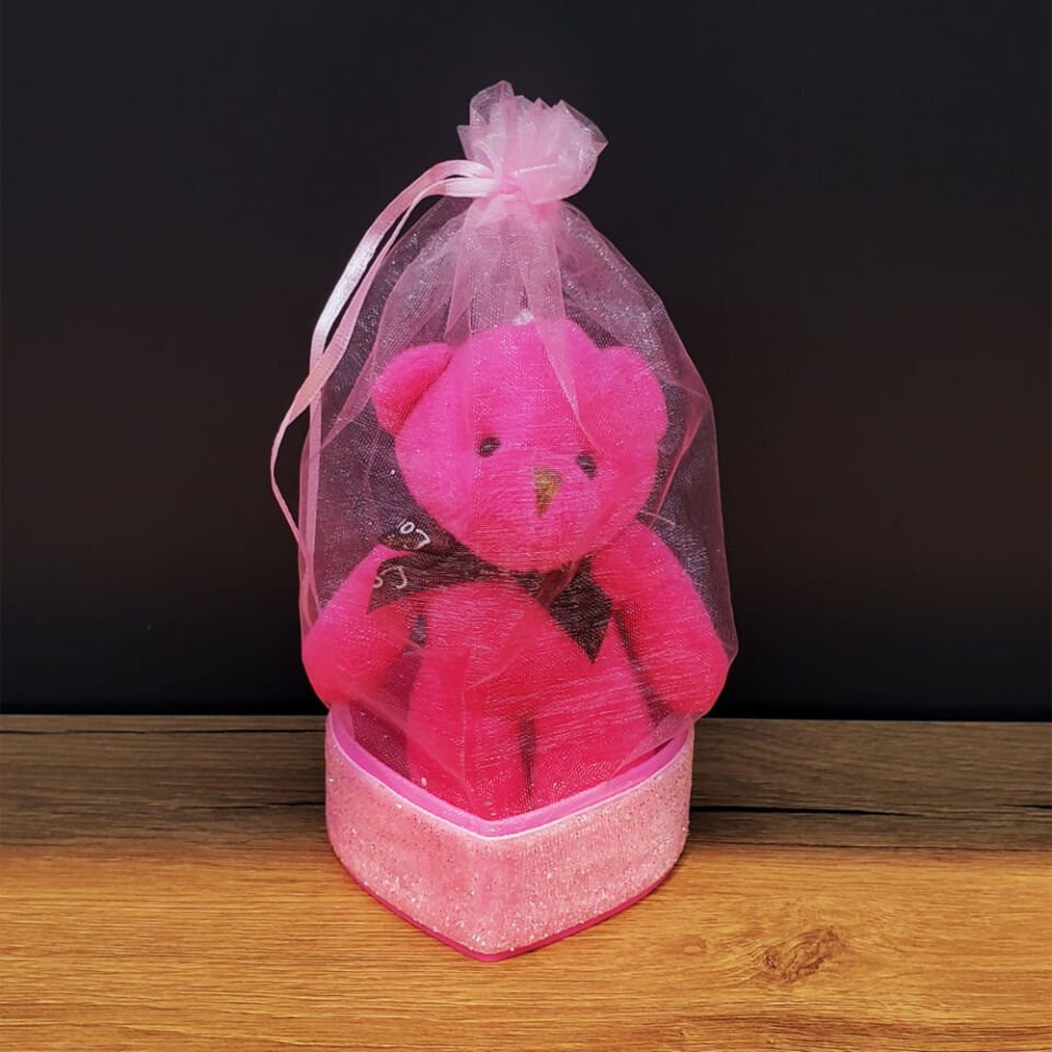 Pembe Hediyelik Kese İçinde Ayıcık Şık Tasarımlı Fonksiyonel Ürün