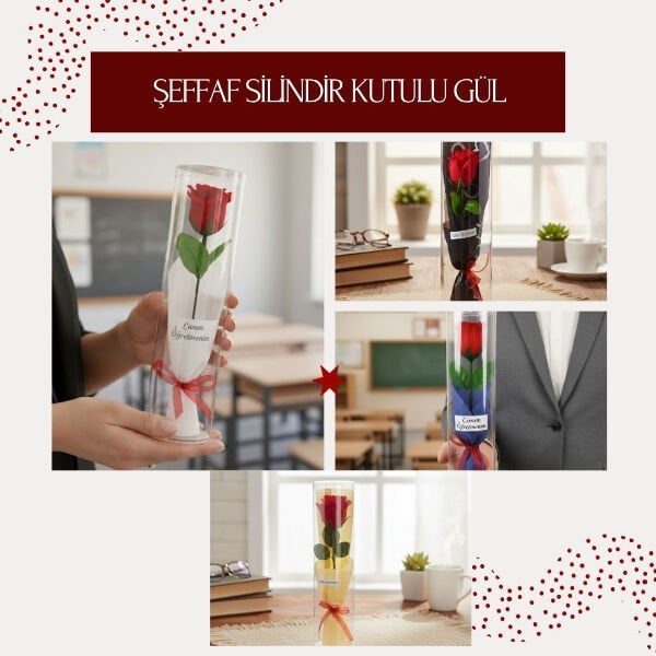 Şeffaf Silindir Kutulu Gül - Öğretmenler Günü Hediyesi Çok Fonksiyonel Ürün