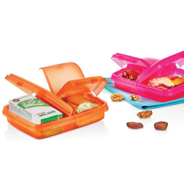 Natürel Beslenme Kabı Şık Tasarımlı Fonksiyonel Ürün