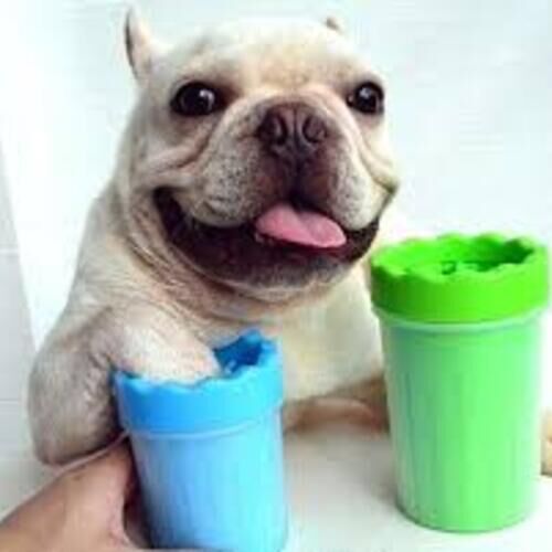 Pati Yıkama Aleti Soft Gentle Şık Tasarımlı Fonksiyonel Ürün