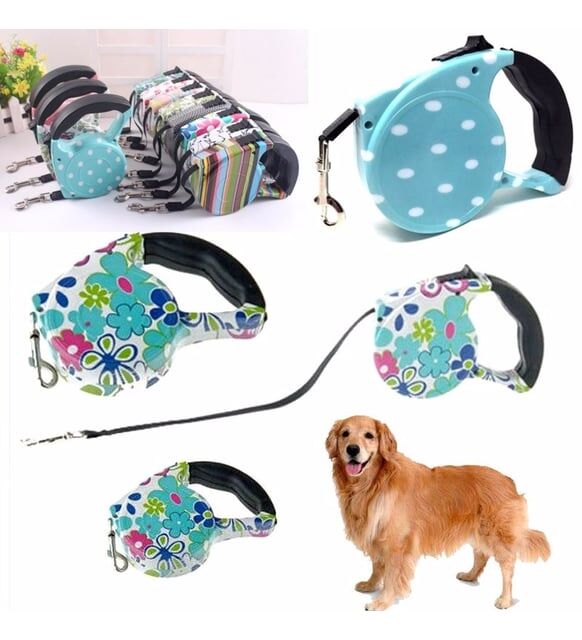 Desenli Köpek Tasması - Pup Style Çok Fonksiyonel Ürün