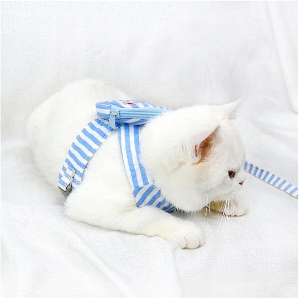 Evcil Hayvan Çantalı Göğüs Gezdirme Tasması Seti Şık Tasarımlı Fonksiyonel Ürün