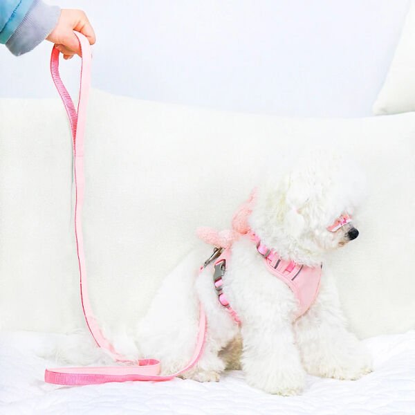 Evcil Hayvan Peluş Ayıcıklı Göğüs Gezdirme Tasması Set Şık Tasarımlı Fonksiyonel Ürün