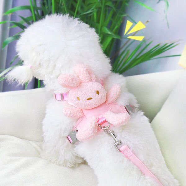 Evcil Hayvan Peluş Ayıcıklı Göğüs Gezdirme Tasması Set Şık Tasarımlı Fonksiyonel Ürün