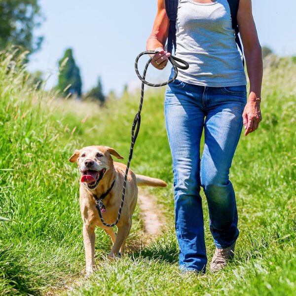 Evcil Hayvan Fitil Gezdirme Tasması 8 mm x 120 cm Çok Fonksiyonel Ürün