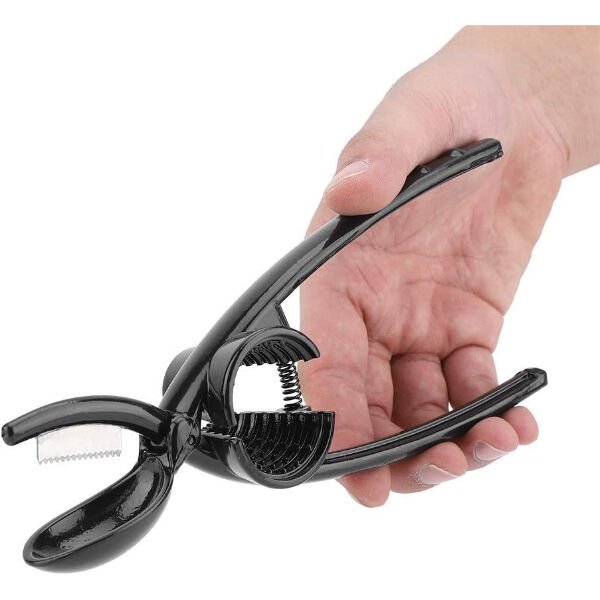 2'si 1 Arada Kestane Çizici ve Ceviz Kıracağı Şık Tasarımlı Fonksiyonel Ürün