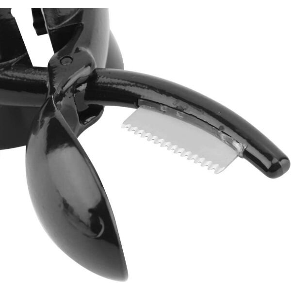 2'si 1 Arada Kestane Çizici ve Ceviz Kıracağı Şık Tasarımlı Fonksiyonel Ürün