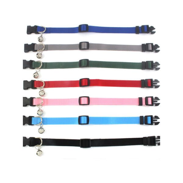 Zilli Kedi Tasması Şık Tasarımlı Fonksiyonel Ürün