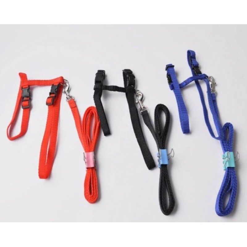 Kedi Boyun ve Göğüs Tasması Şık Tasarımlı Fonksiyonel Ürün