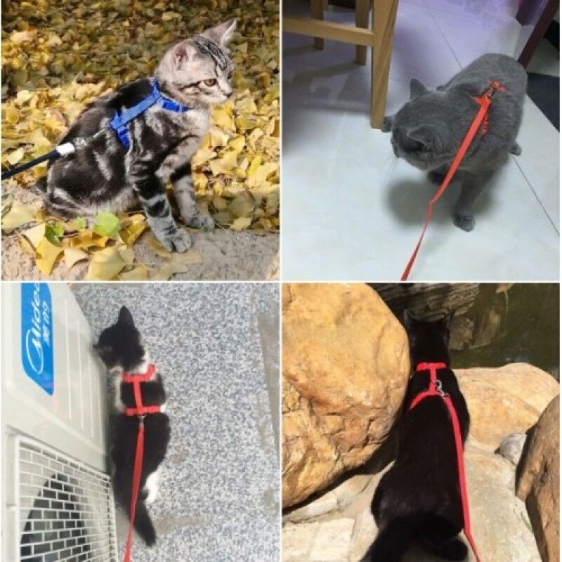 Kedi Boyun ve Göğüs Tasması Şık Tasarımlı Fonksiyonel Ürün