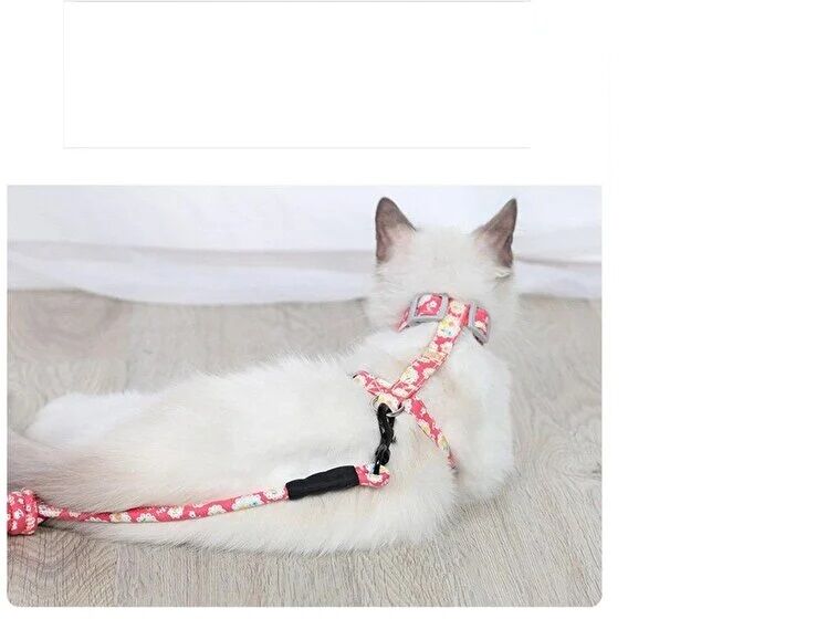 Kedi Gezdirme Göğüs Tasması Şık Tasarımlı Fonksiyonel Ürün