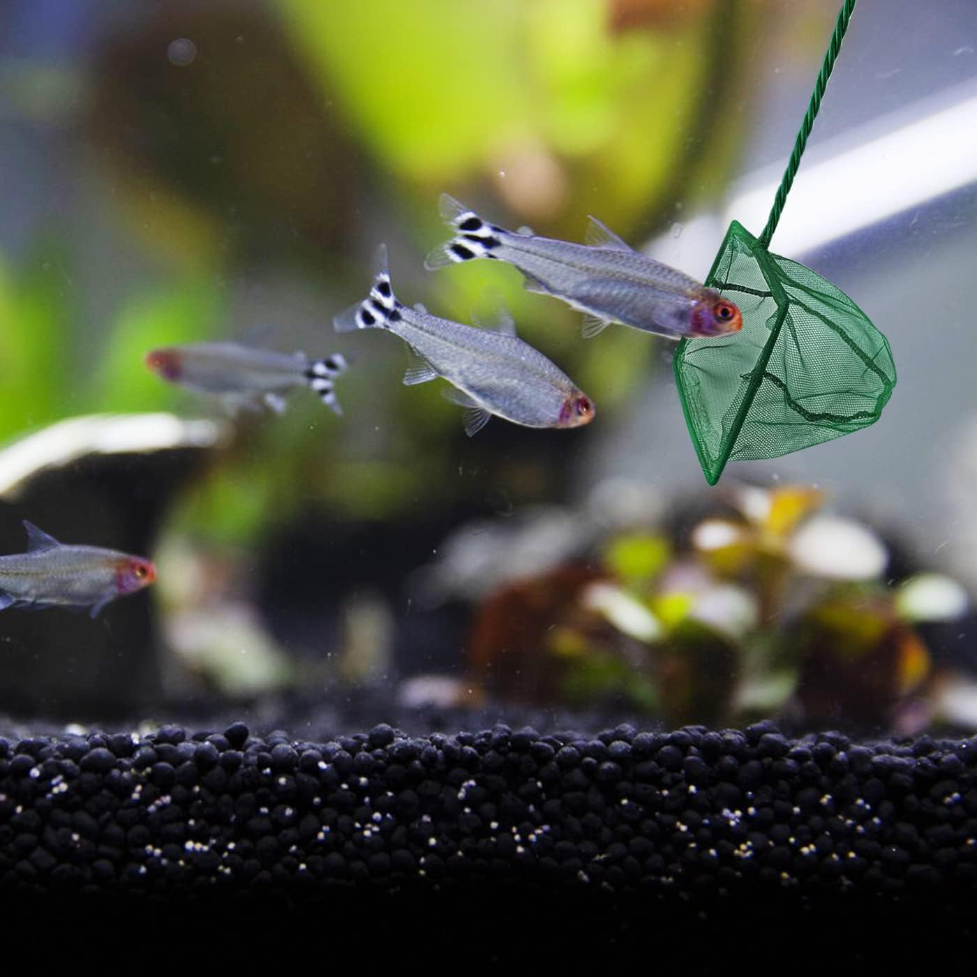 Akvaryum Balık Kepçesi 12 cm. Şık Tasarımlı Fonksiyonel Ürün