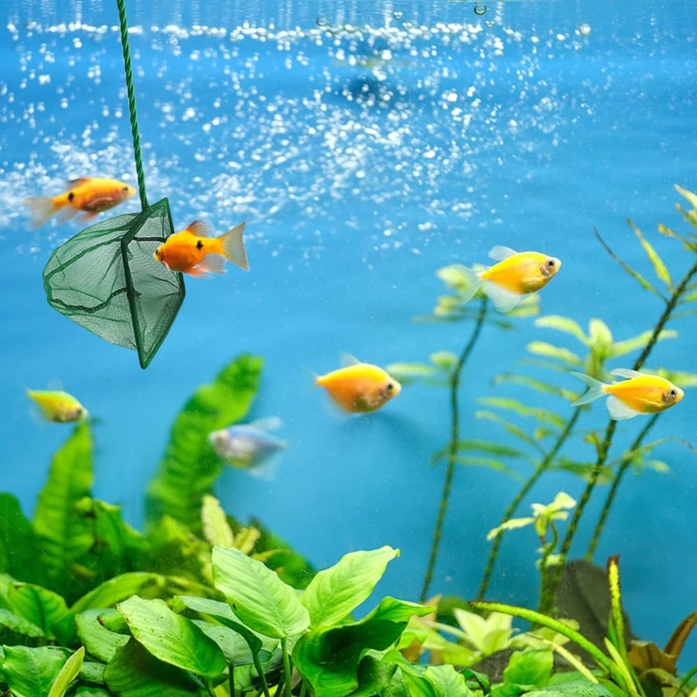 Akvaryum Balık Kepçesi 7.5 Cm. Şık Tasarımlı Fonksiyonel Ürün