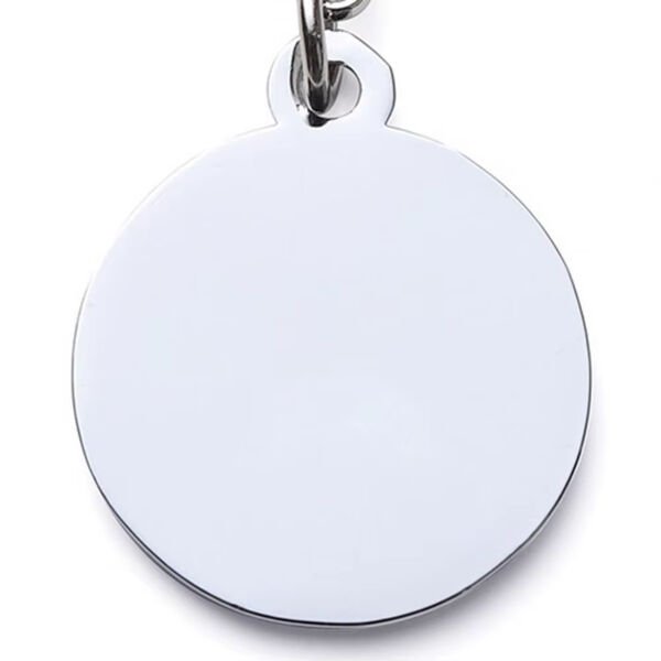 Evcil Hayvan Klipsli Tasma Künyesi Çok Fonksiyonel Ürün