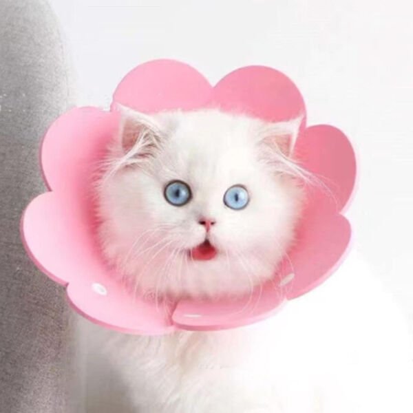 Evcil Hayvan L Boy Keçe Elizabeth Yakalığı Çok Fonksiyonel Ürün