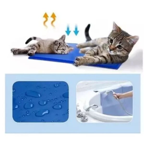 Evcil Hayvan Soğutucu Yatak Mat 50x65 cm Şık Tasarımlı Fonksiyonel Ürün