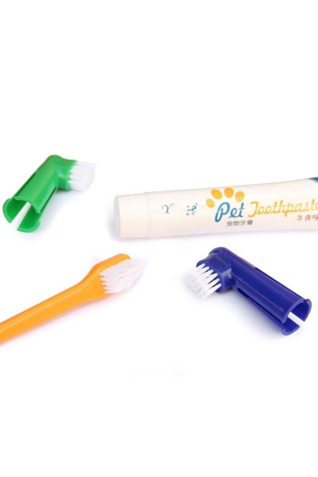 Köpek Ağız Bakım Seti Şık Tasarımlı Fonksiyonel Ürün