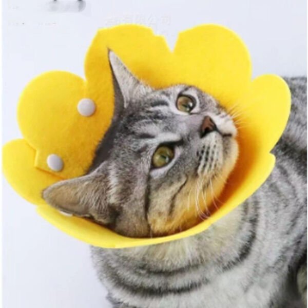 Evcil Hayvan M Boy Keçe Elizabeth Yakalığı Çok Fonksiyonel Ürün