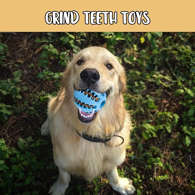 Mama Hazneli Köpek Eğitim Ve Oyun Topu Şık Tasarımlı Fonksiyonel Ürün