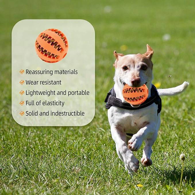 Mama Hazneli Köpek Eğitim Ve Oyun Topu Şık Tasarımlı Fonksiyonel Ürün