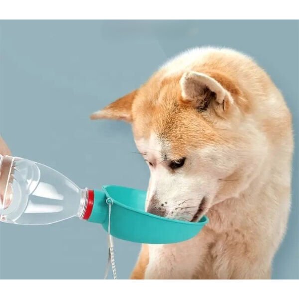 Evcil Hayvan Takılabilir Suluk Başlığı Çok Fonksiyonel Ürün