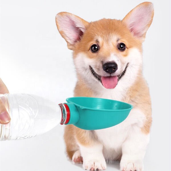 Evcil Hayvan Takılabilir Suluk Başlığı Çok Fonksiyonel Ürün