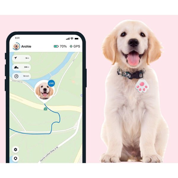 Mobil Uygulamalı Evcil Hayvan Takip Cihazı Çok Fonksiyonel Ürün