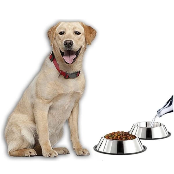 Paslanmaz Çelik Metal Mama Kabı 34 cm. Şık Tasarımlı Fonksiyonel Ürün