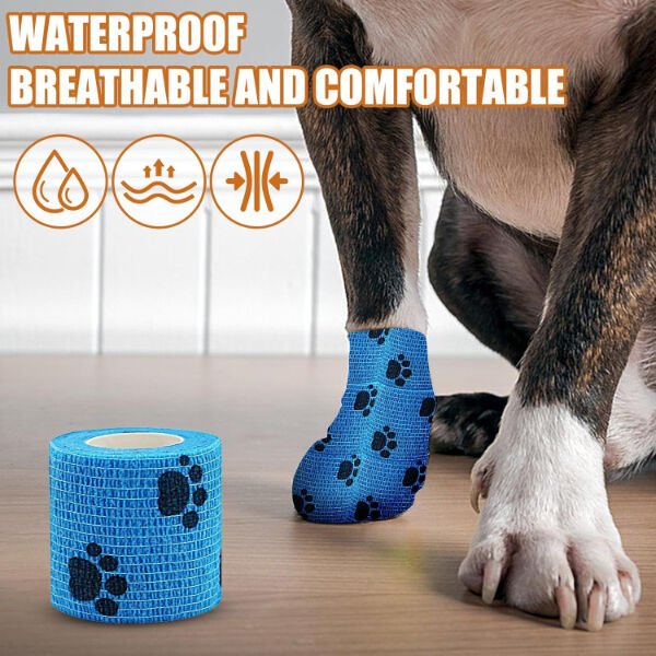 Pati Bandajı Şık Tasarımlı Fonksiyonel Ürün