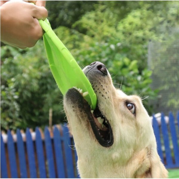 Silikon Frizbi Köpek Oyuncağı Şık Tasarımlı Fonksiyonel Ürün