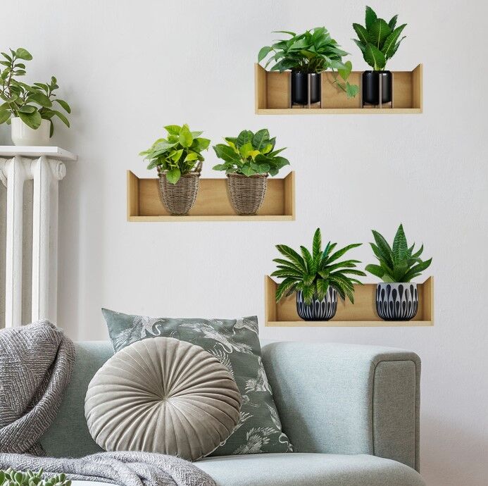 Raflı Bitki Tasarımlı Yapışkanlı Sticker 20*30 cm 3lü Set Şık Tasarımlı Fonksiyonel Ürün