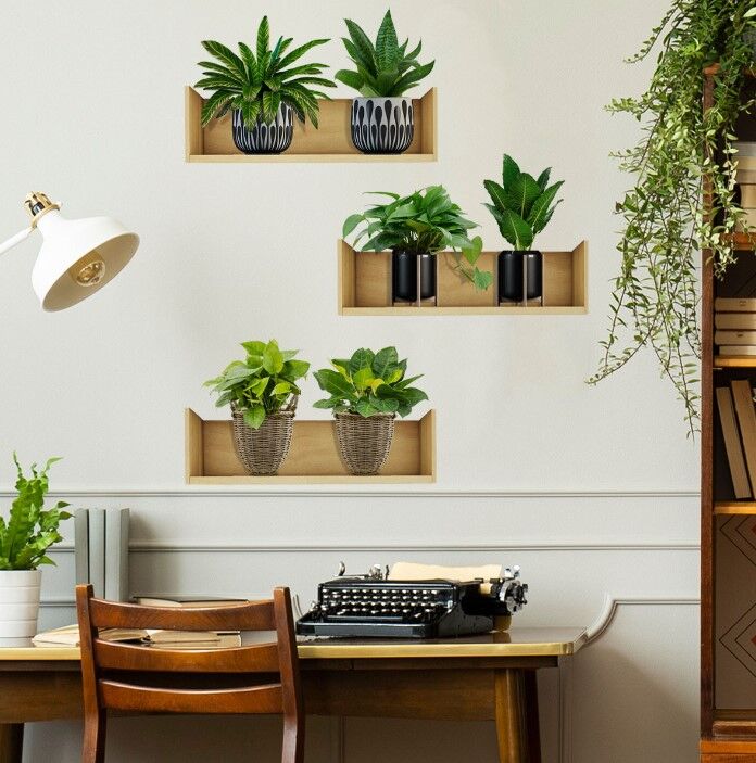 Raflı Bitki Tasarımlı Yapışkanlı Sticker 20*30 cm 3lü Set Şık Tasarımlı Fonksiyonel Ürün