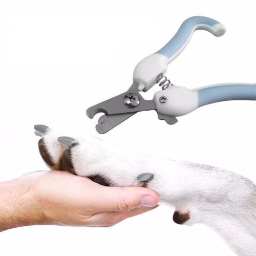 Evcil Hayvan Tırnak Makası Şık Tasarımlı Fonksiyonel Ürün