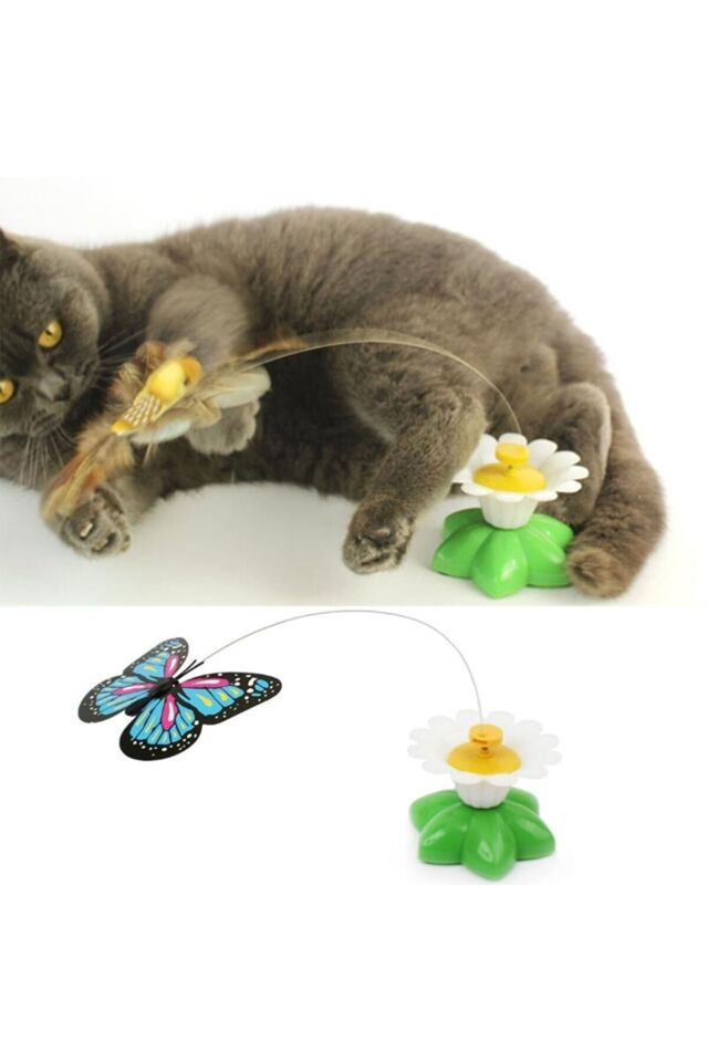 Hareketli Pilli Kelebek Kedi Oyuncağı Şık Tasarımlı Fonksiyonel Ürün