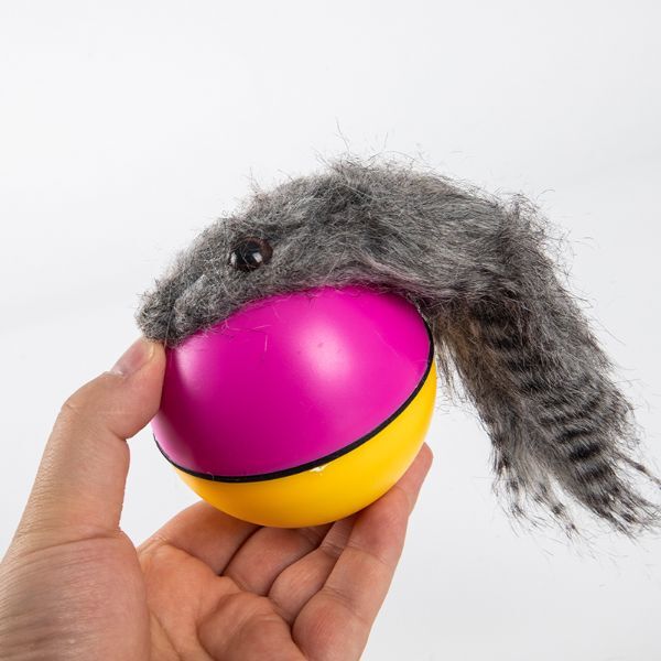 Hareketli Rakun Kedi Köpek Oyuncak Şık Tasarımlı Fonksiyonel Ürün