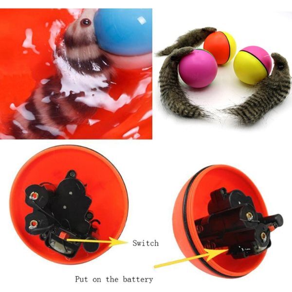 Hareketli Rakun Kedi Köpek Oyuncak Şık Tasarımlı Fonksiyonel Ürün