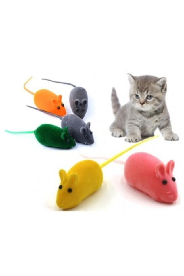 Kedi Eğitim Oyun Faresi 4 Adet Şık Tasarımlı Fonksiyonel Ürün