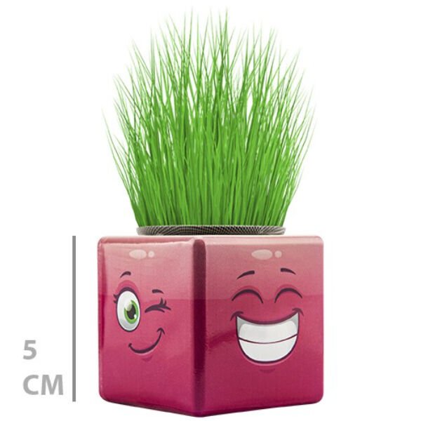 Çim Adam Mini Küp Emoji Figürlü 1 Adet Şık Tasarımlı Fonksiyonel Ürün