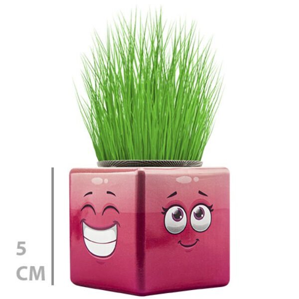 Çim Adam Mini Küp Emoji Figürlü 1 Adet Şık Tasarımlı Fonksiyonel Ürün