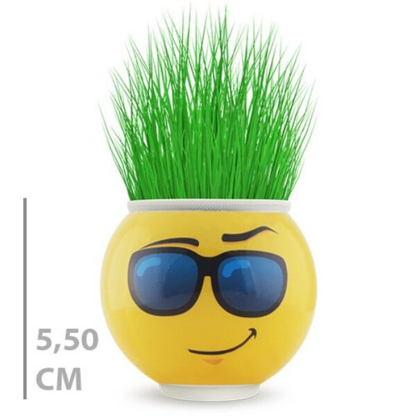 Çim Adam Saksı Emoji Figürlü 1 Adet Şık Tasarımlı Fonksiyonel Ürün