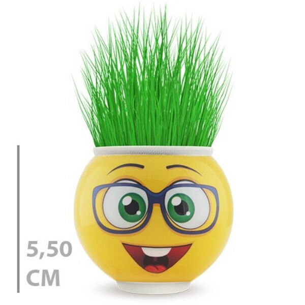 Çim Adam Saksı Emoji Figürlü 1 Adet Şık Tasarımlı Fonksiyonel Ürün