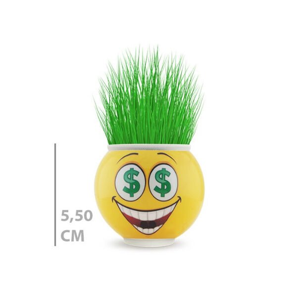 Çim Adam Saksı Emoji Figürlü 1 Adet Şık Tasarımlı Fonksiyonel Ürün