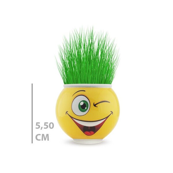 Çim Adam Saksı Emoji Figürlü 1 Adet Şık Tasarımlı Fonksiyonel Ürün