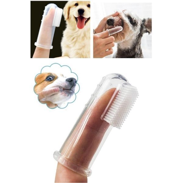 Kedi Köpek Diş Temizleme Fırçası Şık Tasarımlı Fonksiyonel Ürün
