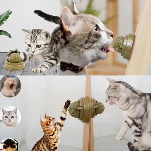 Kedi Nanesi Oyun Topu Şık Tasarımlı Fonksiyonel Ürün