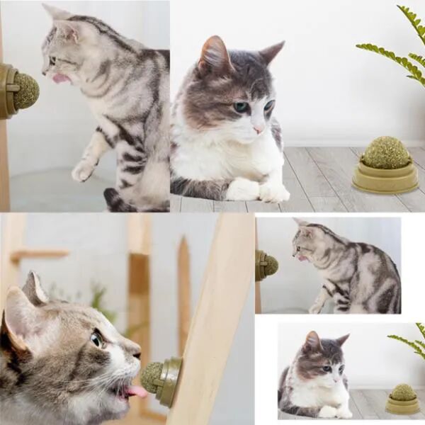 Kedi Nanesi Oyun Topu Şık Tasarımlı Fonksiyonel Ürün