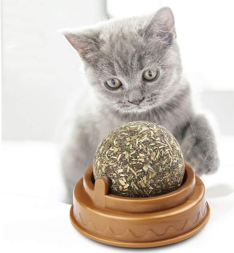 Kedi Nanesi Oyun Topu Şık Tasarımlı Fonksiyonel Ürün