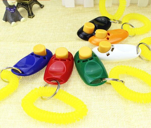 KÖPEK EĞITIMI CLICKER Şık Tasarımlı Fonksiyonel Ürün