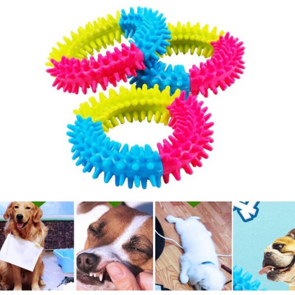 Köpek Isırma Diş Kaşıma Çemberi Şık Tasarımlı Fonksiyonel Ürün