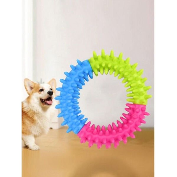 Köpek Isırma Diş Kaşıma Çemberi Şık Tasarımlı Fonksiyonel Ürün